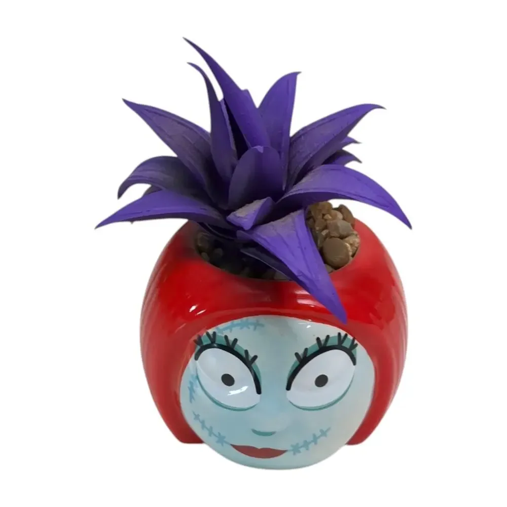 3 Nightmare Before Christmas Succulent Sally Zero Jack Exclusive Set